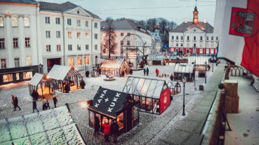 20201211_Mana-Kaasik_Joululinn-37a